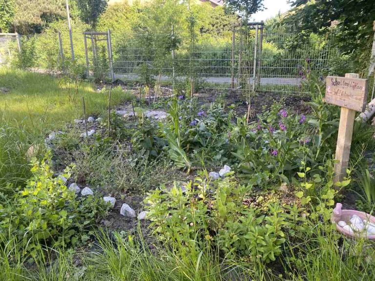 Mehr über den Artikel erfahren Unsere grüne Oase: wir gestalten einen Garten!